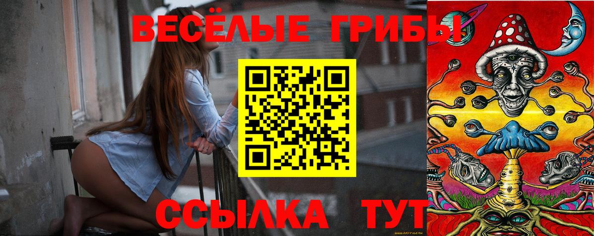 Галлюциногенные грибы мицелий  Псилоцибиновые грибы Cubensis  Павлово  Вход с VPN 